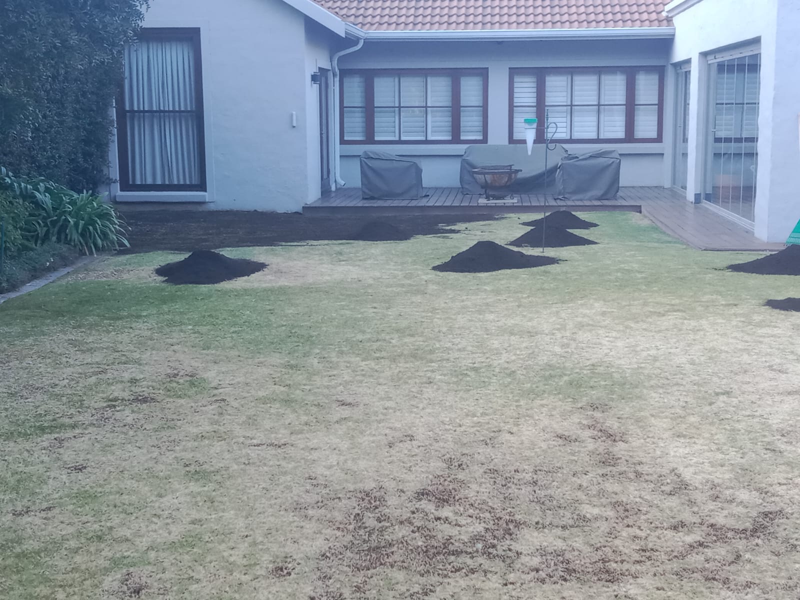 WhatsApp Image 2024-08-12 at 09.32.52_734b2b33 WhatsApp Image 2024-08-12 at 09.32.52_734b2b33