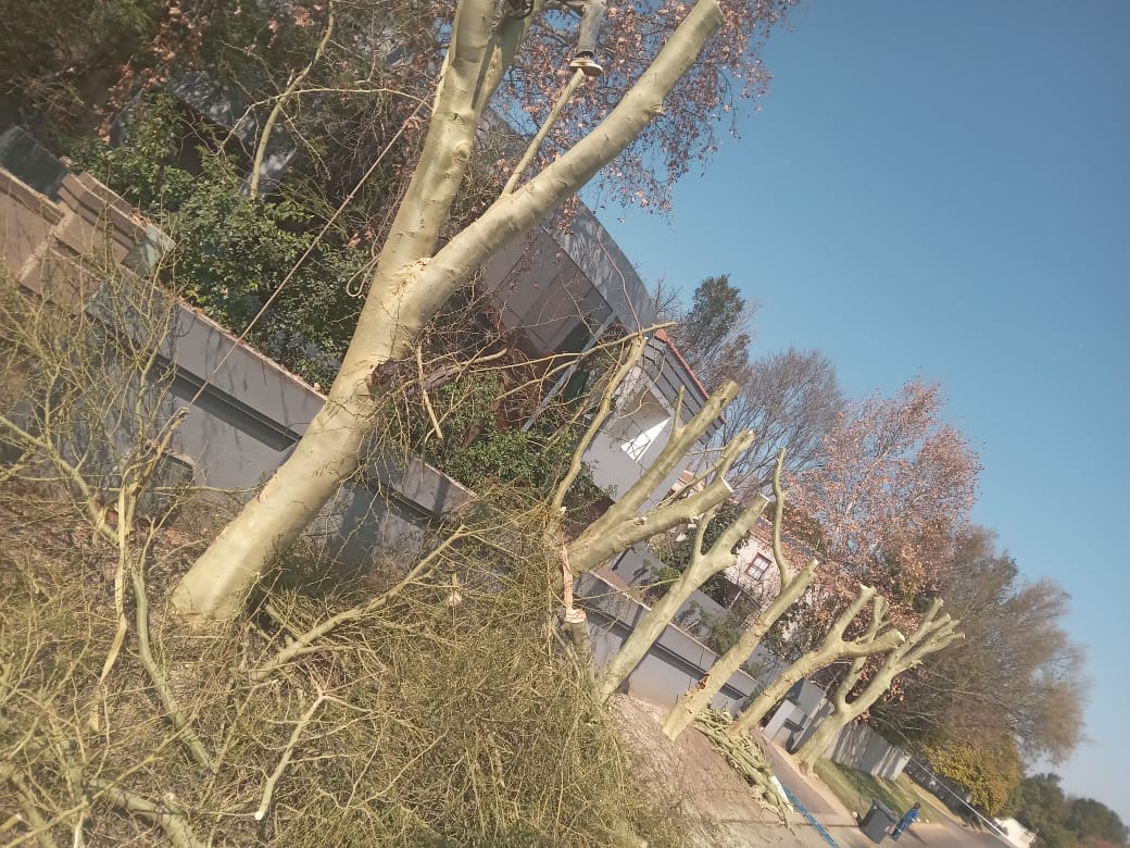 WhatsApp Image 2024-08-12 at 09.33.27_4ed36b9a WhatsApp Image 2024-08-12 at 09.33.27_4ed36b9a