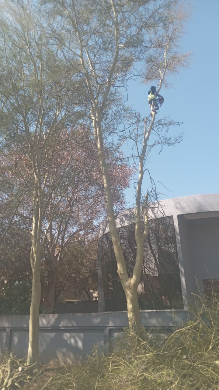 WhatsApp Image 2024-08-12 at 09.33.27_564a5dbd WhatsApp Image 2024-08-12 at 09.33.27_564a5dbd