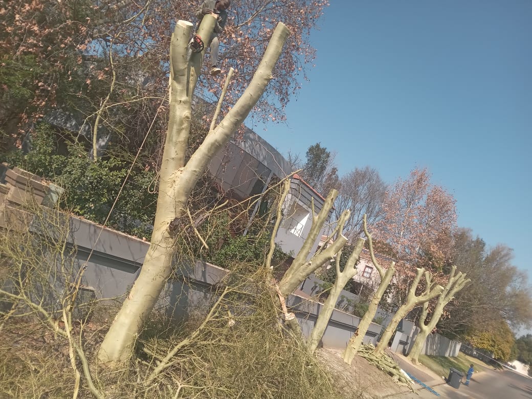 WhatsApp Image 2024-08-12 at 09.33.27_9eb90831 WhatsApp Image 2024-08-12 at 09.33.27_9eb90831